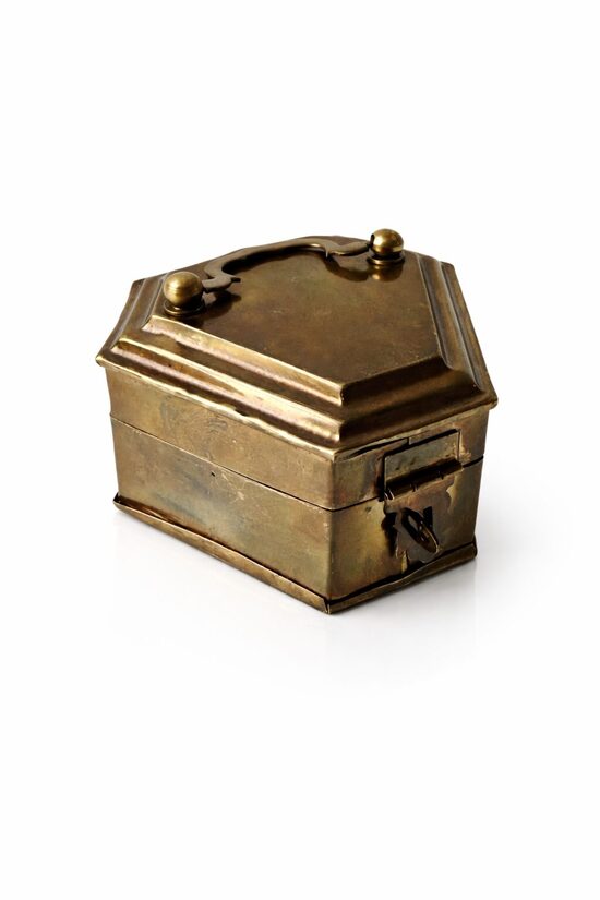 Maza misiņa lādīte