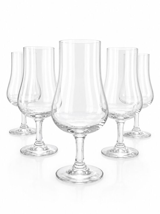 Set of Wine Tasting Glasses