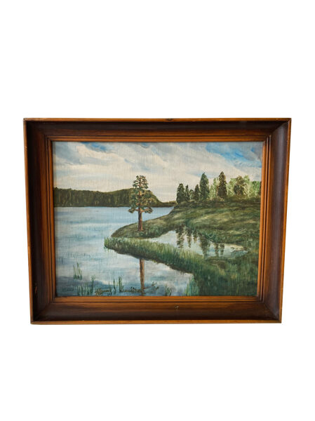 Glezna ''Skats uz ezeru'' Eļļa